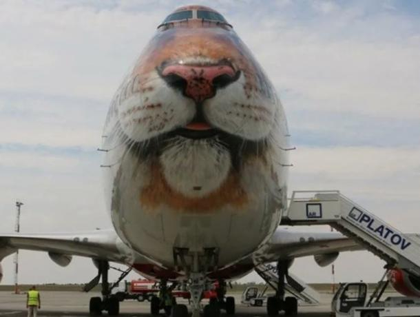 Двухпалубный Boeing 747-400 из-за непогоды приземлился в аэропорту "Платов"
