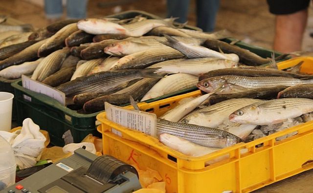 В Ростовской области около 8% продаваемой рыбы оказались опасными для здоровья
