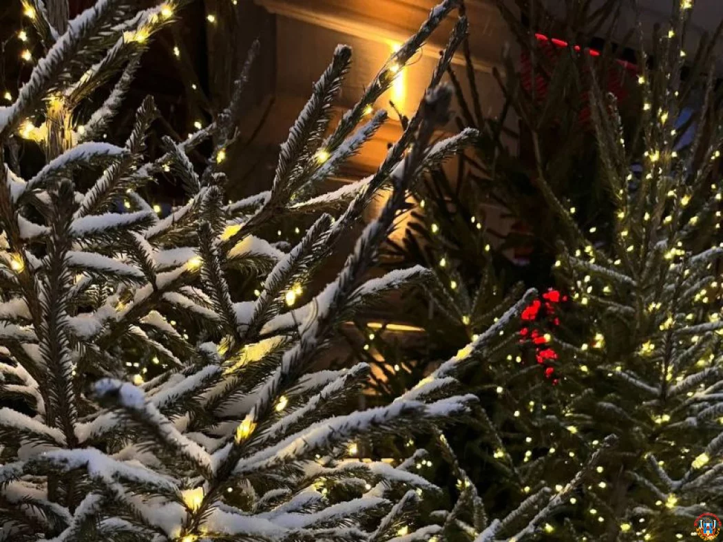 В Ростов придут настоящие крещенские морозы: синоптики прогнозируют резкое похолодание до -9 градусов