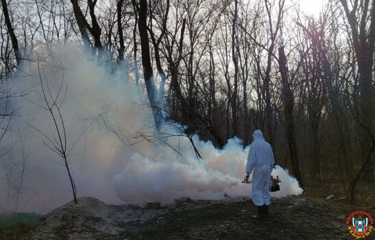 В Ростовской области еще один человек заразился лихорадкой Ку