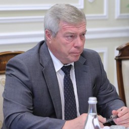 Власти Ростовской области прогнозируют рост зарплат и снижение бедности к 2024 году