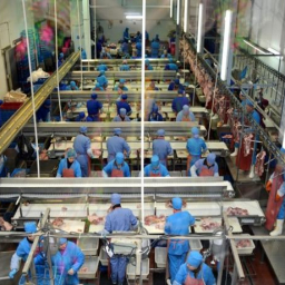 Власти Ростовской области потребовали от Евродона вернуть субсидию