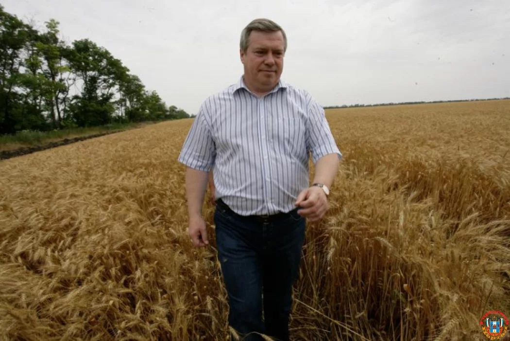 Из-за засухи в Ростовской области погибло 30% урожая
