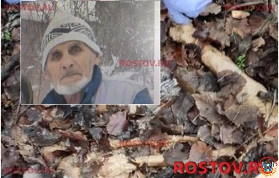 В Ростовской области нашли останки пенсионера, пропавшего почти год назад