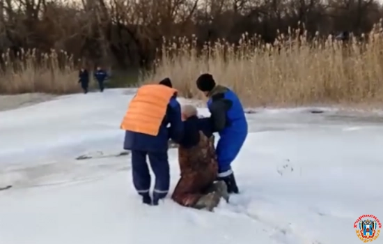 В Ростовской области рыбак едва не утонул, провалившись под лед