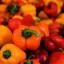 Лук, огурцы и кабачки: как ростовчанам хранить овощи весной 1