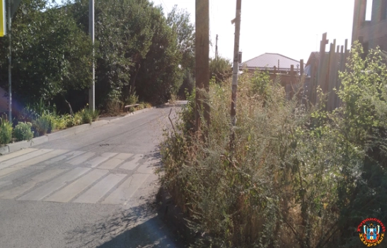 Пешеходный переход на улице Благодатной в Ростове полностью скрылся в зарослях амброзии