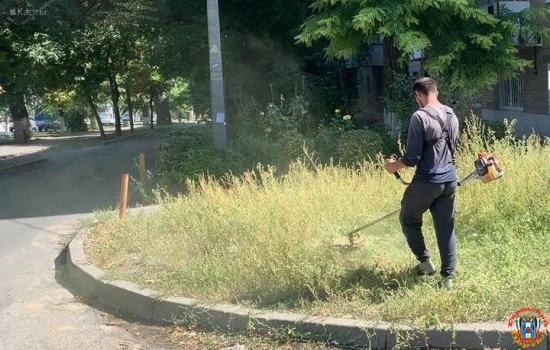 В Ростовской области за нескошенную амброзию выписали штрафов на 1,3 млн рублей