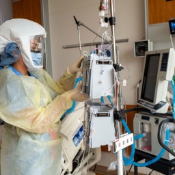 Университет Хопкинса: число случаев заражения коронавирусом превысило 300 млн