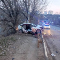 В Ростове таксист врезался в дерево при попытке скрыться от полиции