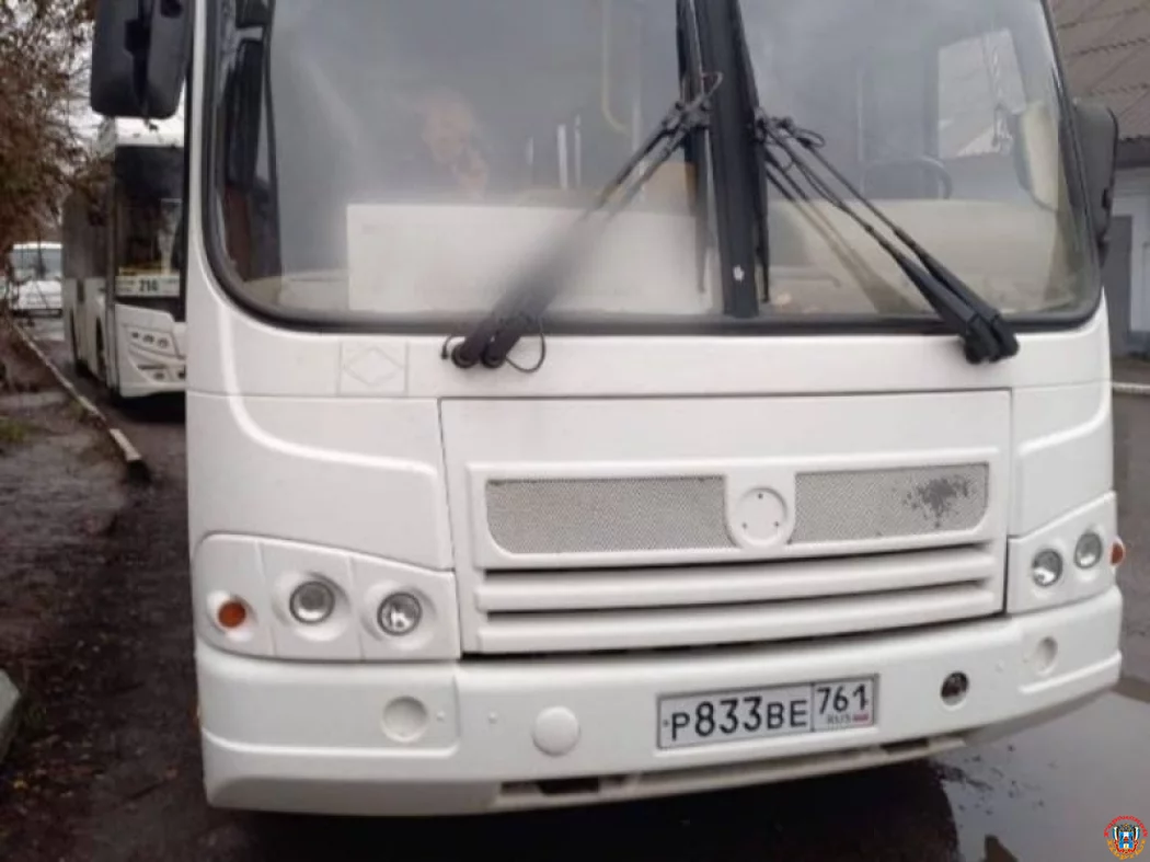 Батайские школьники остались без льготного проезда в январе из-за новой системы билетов