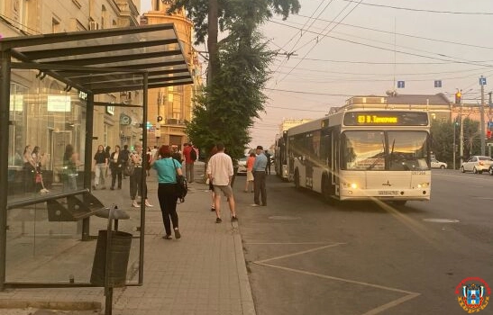 В Ростове появятся два новых автобуса за 13 миллионов рублей