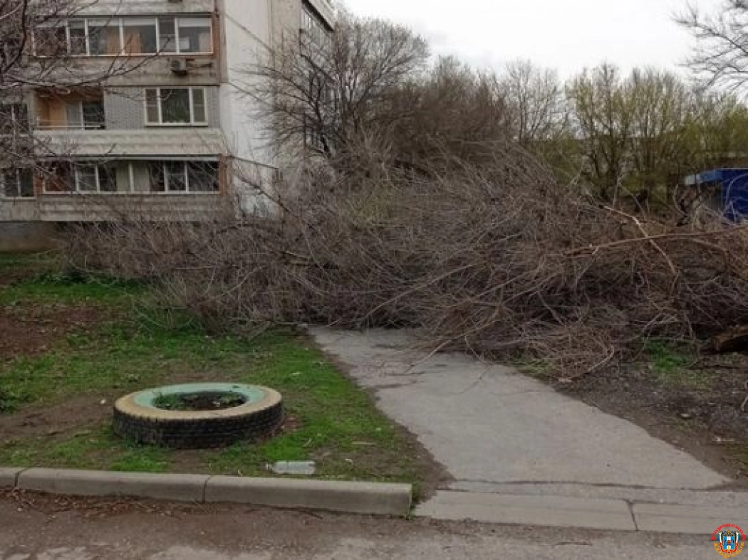 В Ростове упавшее на Гагаринской дерево мешает проходу пешеходов