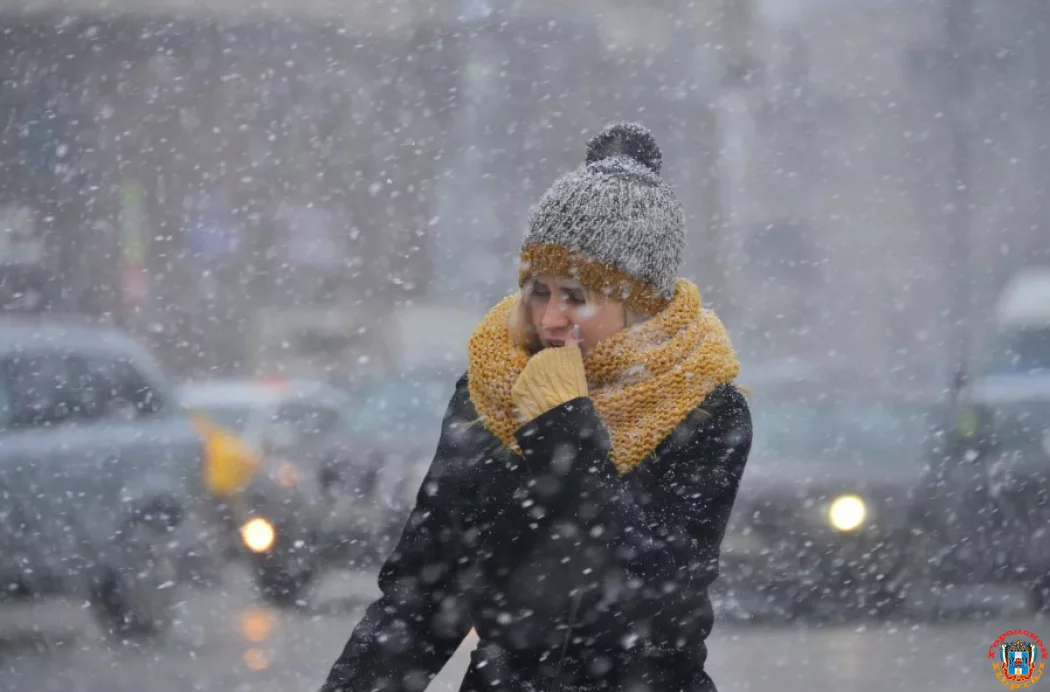 В Ростовской области ожидается сильный снег, метель до 9 января