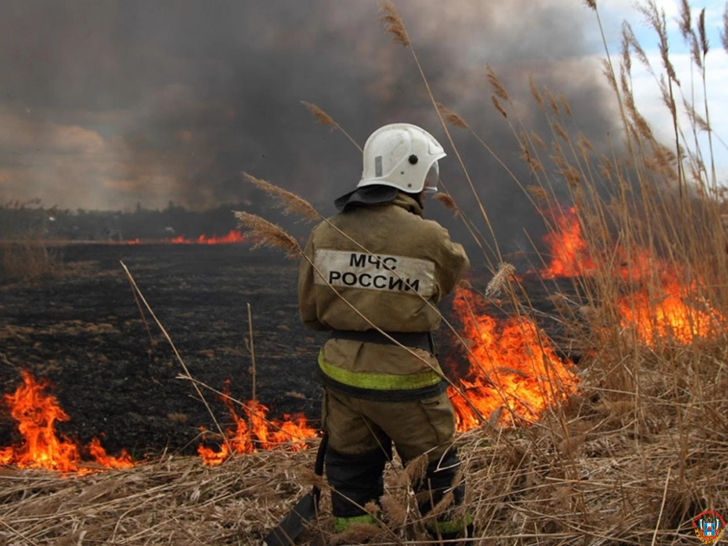 Жителей 35 районов Ростовской области предупредили о сильной пожароопасности