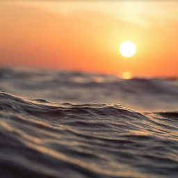 В Веселовское водохранилище выпустили 20 тысяч особей белого амура