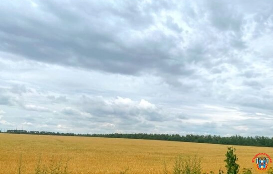 На Дону еще на сутки сохранится штормовой ветер с порывами до 83 км/ч