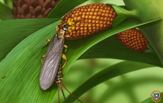 В России нашли самое древнее насекомое, которое опыляло растения