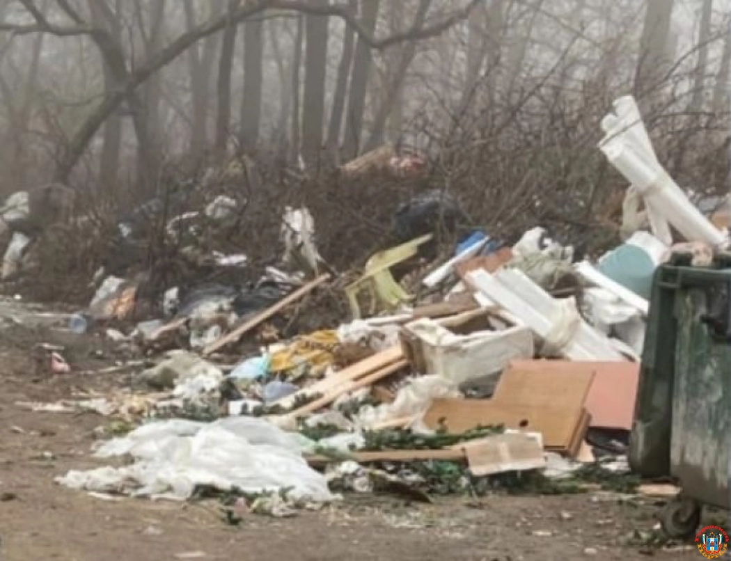 В Ростове в Первомайском районе образовалась стихийная свалка