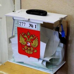 На Дону явка на выборах в Госдуму по итогам двух дней голосования составила 25,3%
