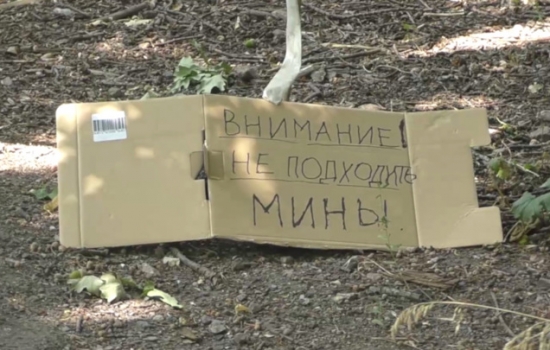 В ДНР на украинских минах "Лепесток" подорвались уже 11 человек