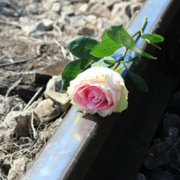 Поезд «Тихий Дон» насмерть сбил мужчину, переходившего дорогу в наушниках