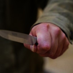 В Волгодонске мужчина зарезал 64-летнюю тещу