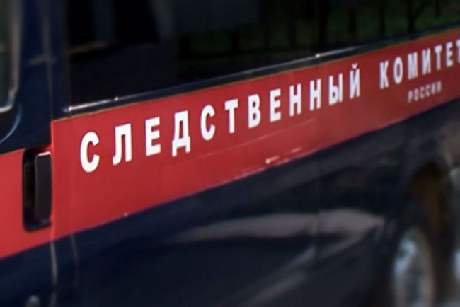 Следственный комитет начал проверку по факту смерти новорожденной девочки в Ростове
