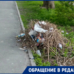 «Уже две недели валяется мусор после субботника»: ростовчанка возмущена свалкой во дворе