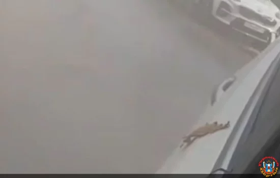 На Таганрогской из-под асфальта забил гейзер