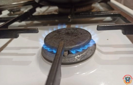 В Ростовской области двое детей остались дома одни с включенной газовой плитой
