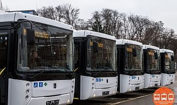 В Ростове на конкурс выставят 27 автобусных маршрутов