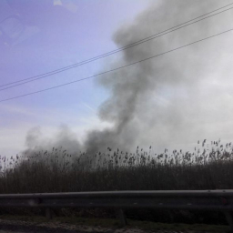 МЧС: в Аксайском районе потушили ландшафтный пожар