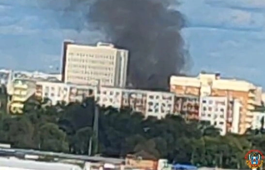 В Ростове на Западном при пожаре сгорели дом и машина