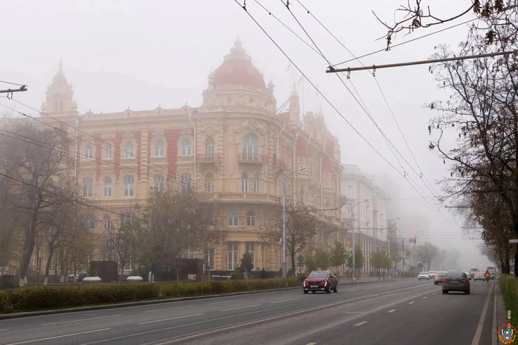 В Ростовской области 30 января ожидаются оттепель, порывистый ветер и туман