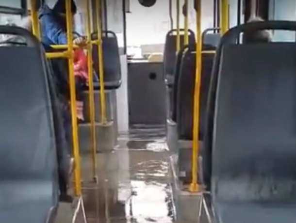 Оснащенный бесплатным «душем с бассейном» автобус Ростова удивил горожан на видео