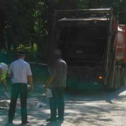 Перебегавшая дорогу женщина погибла под колесами мусоровоза под Ростовом