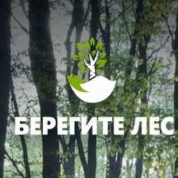 Уникальное мобильное приложение поможет спасти лес Ростова-на-Дону от пожаров