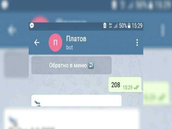 Аэропорт "Платов" запустил официальный чат-бот в Telegram
