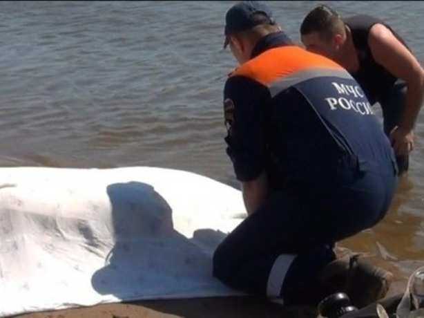 В Ростове обнаружили труп неизвестного мужчины в реке