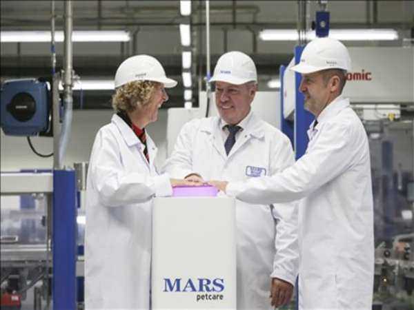 В Ростовской области открылся MARS, чтобы накормить ваших кошечек