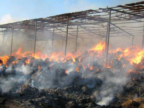 В Ростовской области на ферме загорелись 200 тюков сена