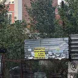 Амброзия, бездомные собаки и бомжи не дают спокойно жить женщине в Ростове