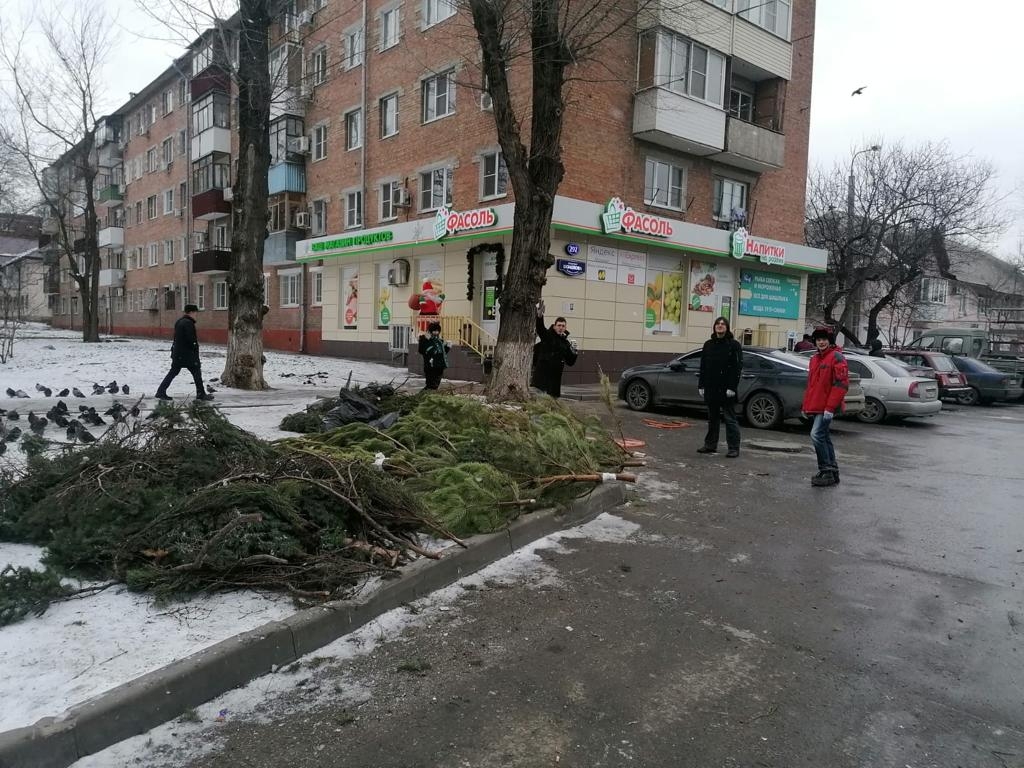 Чемпионат по метанию елок пройдет в Ростове-на-Дону