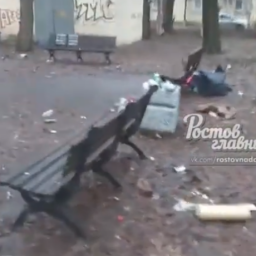 Депрессивный ростовский двор вызывает недоумение у лиц с «европейским менталитетом»