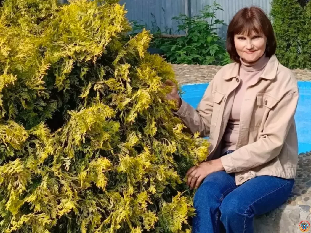 Правилами которые нужно учитывать при посадке хвойных растений поделилась дачница из Ростовской области