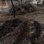 «Секретное» распоряжение: в Ростове под видом благоустройства снова спилили деревья 1