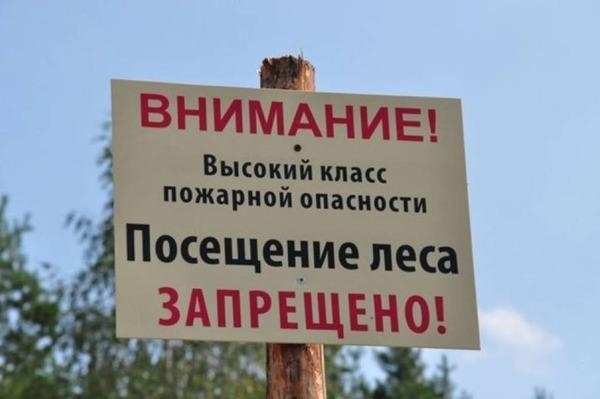 Жителям Ростовской области не разрешают отдыхать в лесах и посадках
