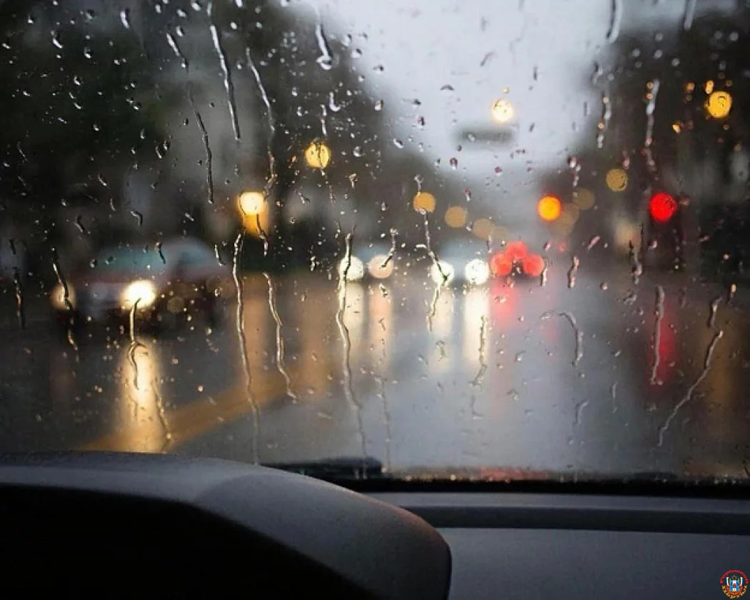 Неустойчивая погода на Дону: 9 января ожидаются дожди, туман и шквалистый ветер