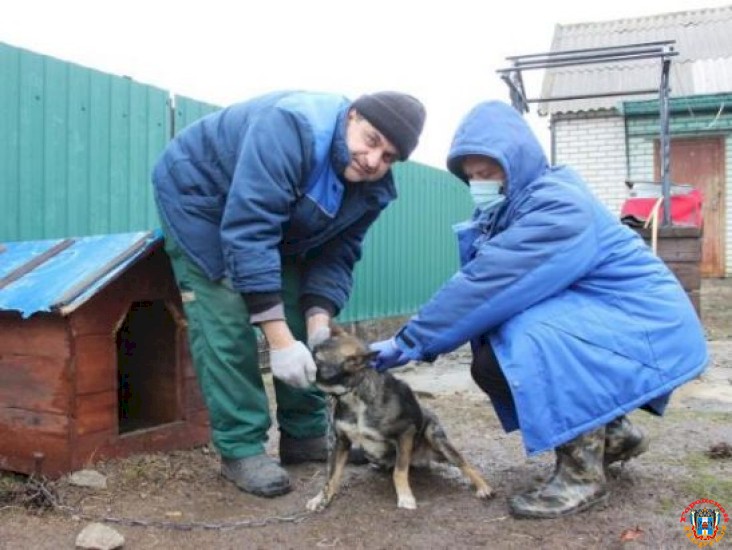 В селе Самбек Ростовской области ввели карантин из-за бешенства у собаки